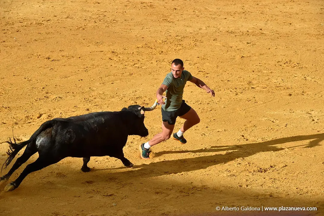 Suelta de vaquillas en Tudela d&iacute;a 28 2025 55