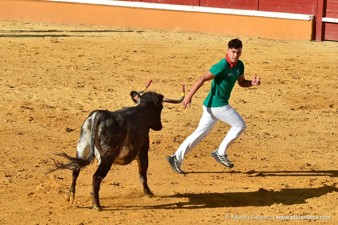 Suelta de vaquillas en Tudela d&iacute;a 28 2025 56