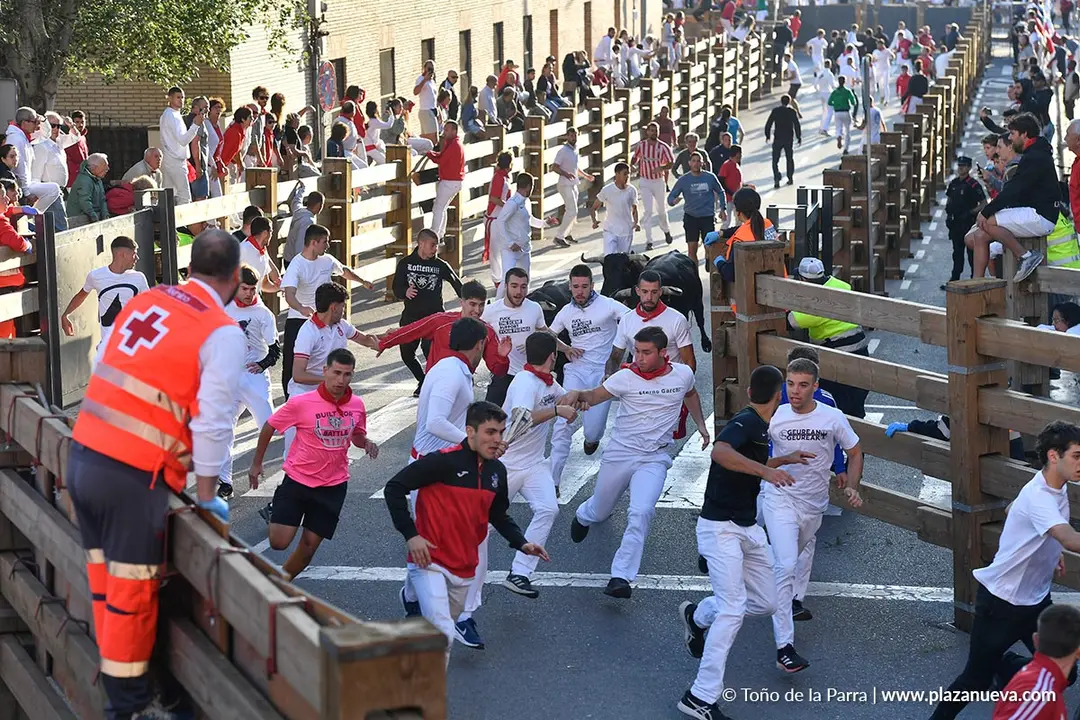 Encierro de Tudela d&iacute;a 29 2025 7