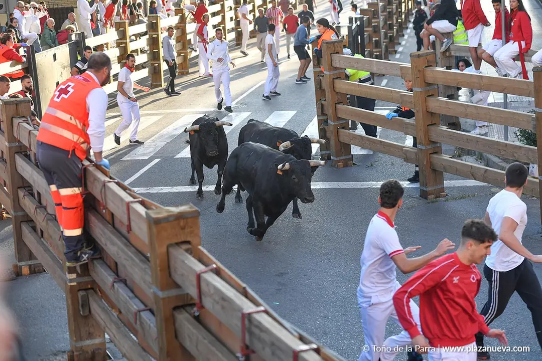 Encierro de Tudela d&iacute;a 29 2025 9