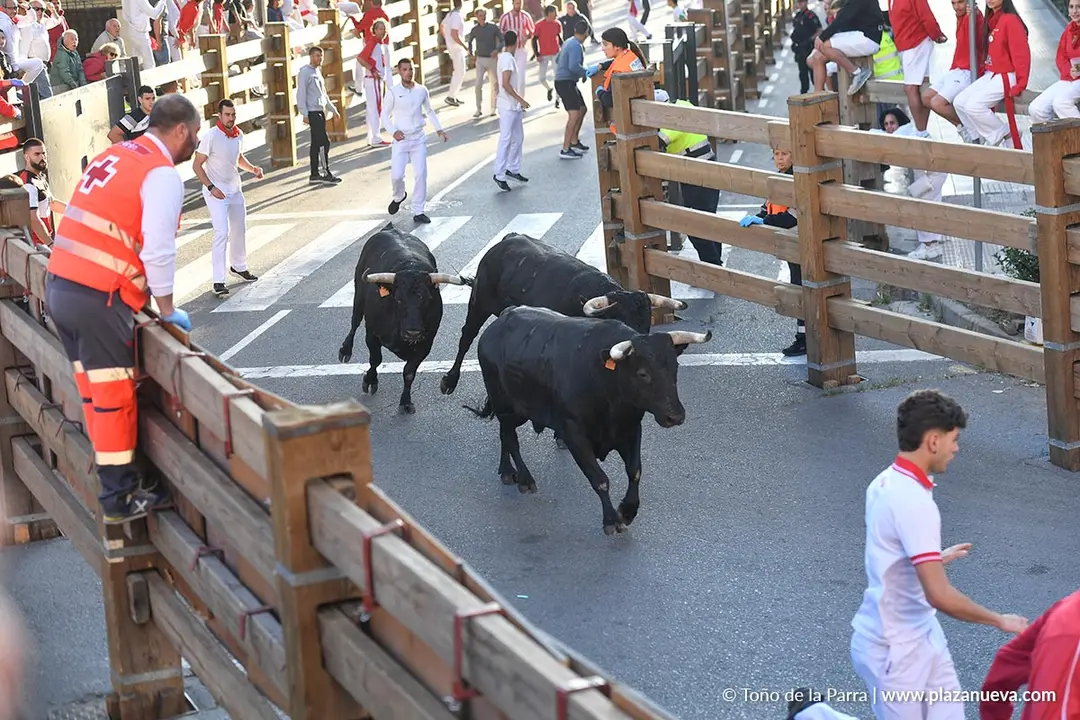 Encierro de Tudela d&iacute;a 29 2025 10