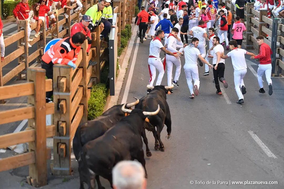 Encierro de Tudela d&iacute;a 29 2025 11