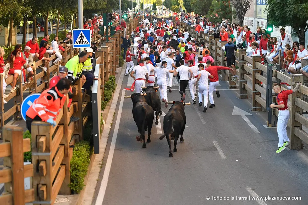 Encierro de Tudela d&iacute;a 29 2025 13