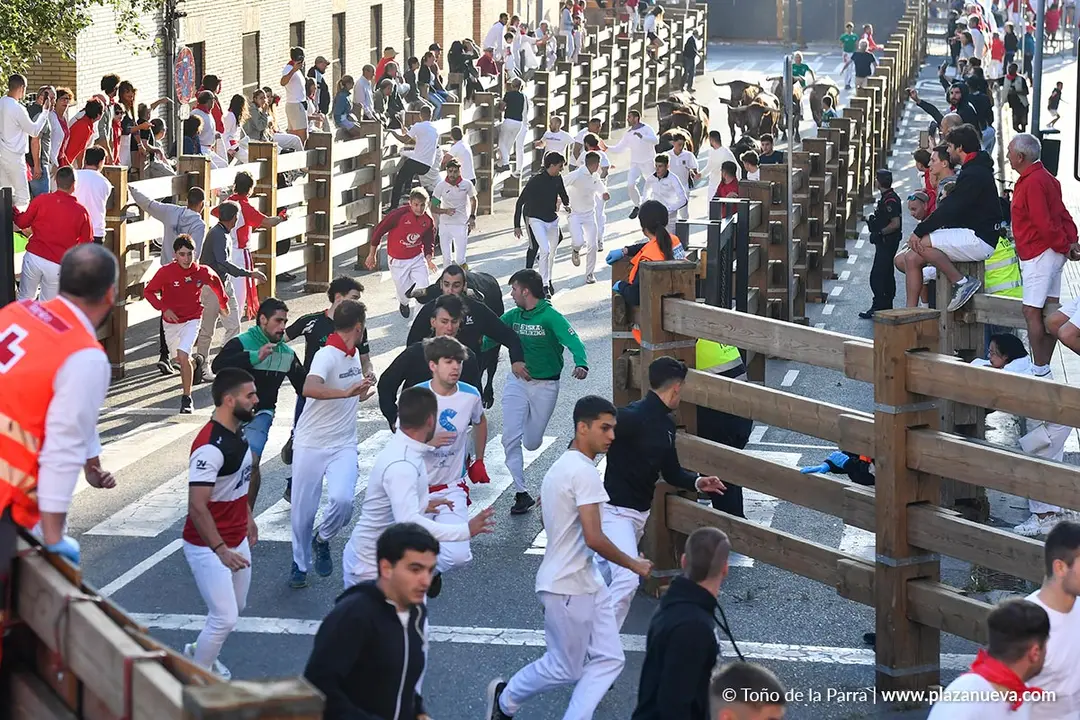 Encierro de Tudela d&iacute;a 29 2025 15