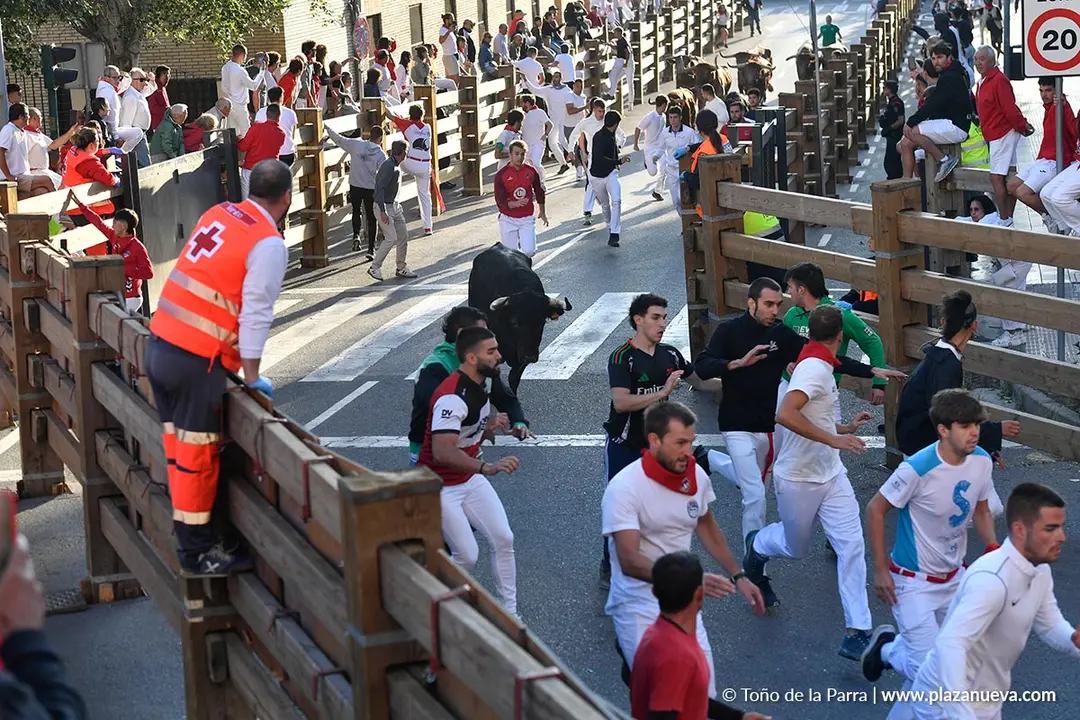 Encierro de Tudela d&iacute;a 29 2025 16