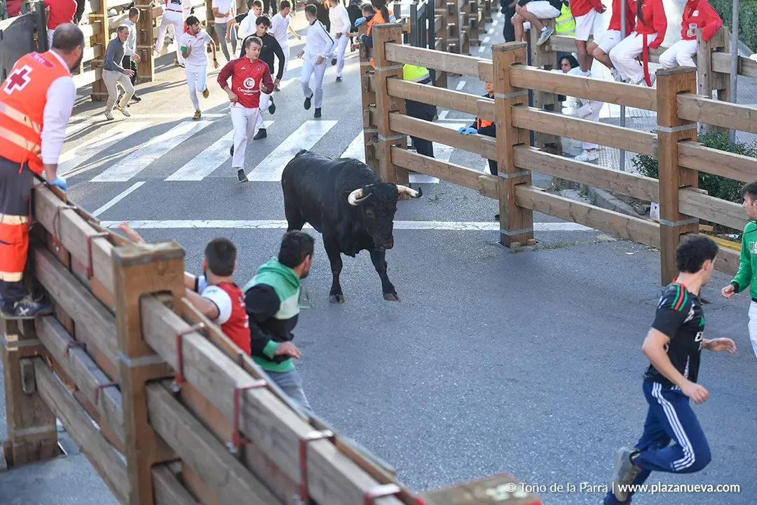 Encierro de Tudela d&iacute;a 29 2025 17