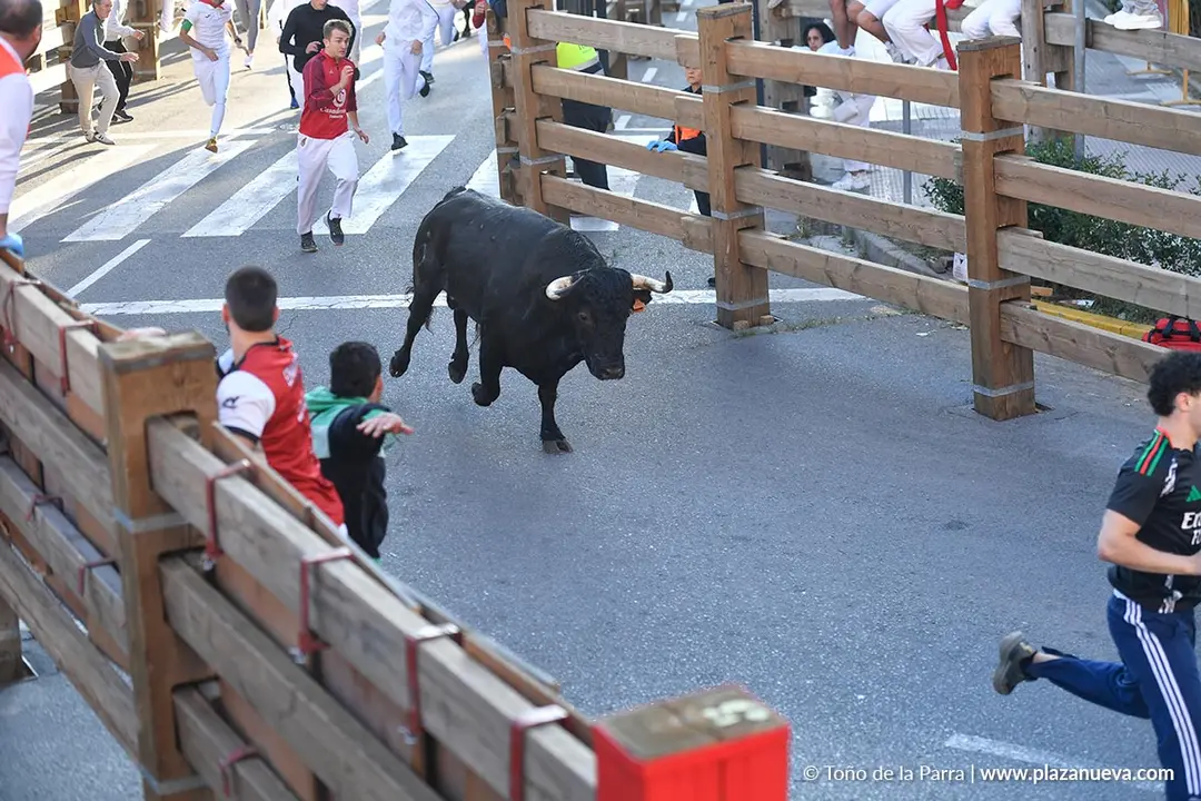 Encierro de Tudela d&iacute;a 29 2025 18
