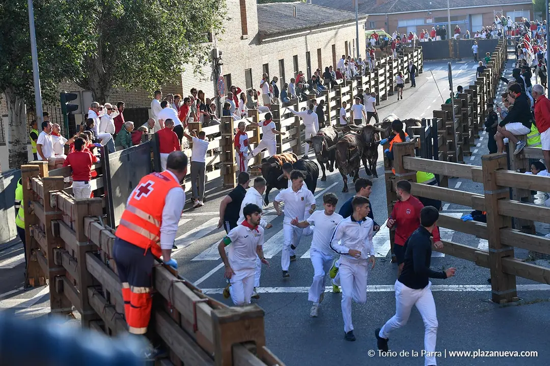 Encierro de Tudela d&iacute;a 29 2025 19