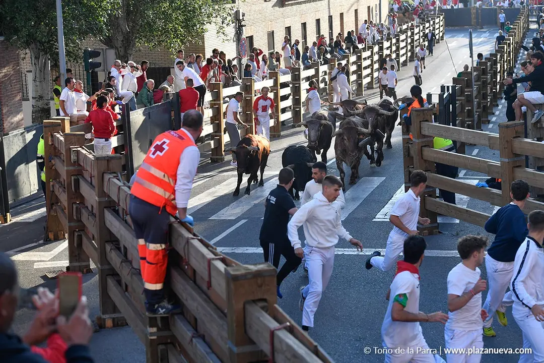 Encierro de Tudela d&iacute;a 29 2025 21