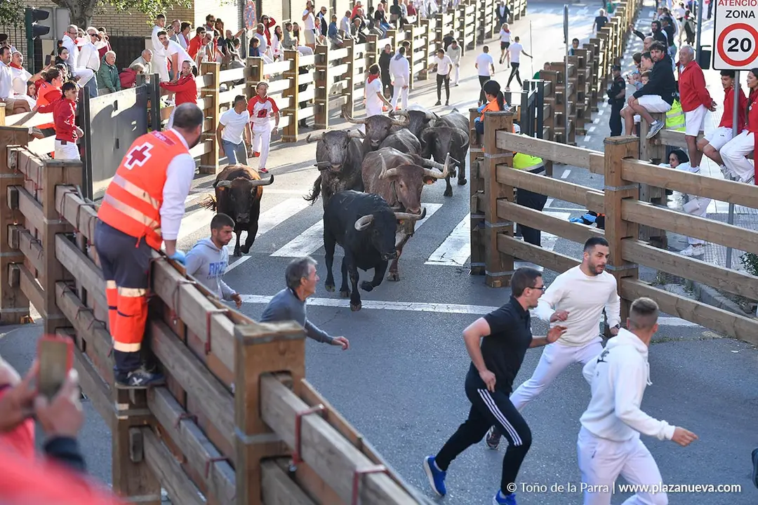 Encierro de Tudela d&iacute;a 29 2025 22