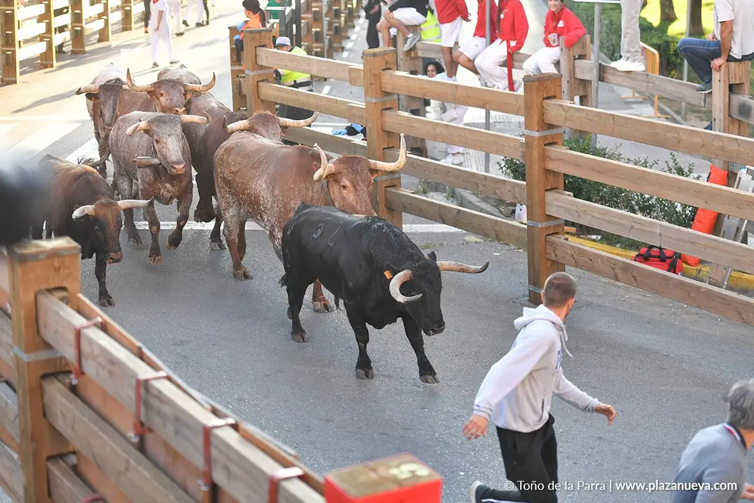 Encierro de Tudela d&iacute;a 29 2025 23
