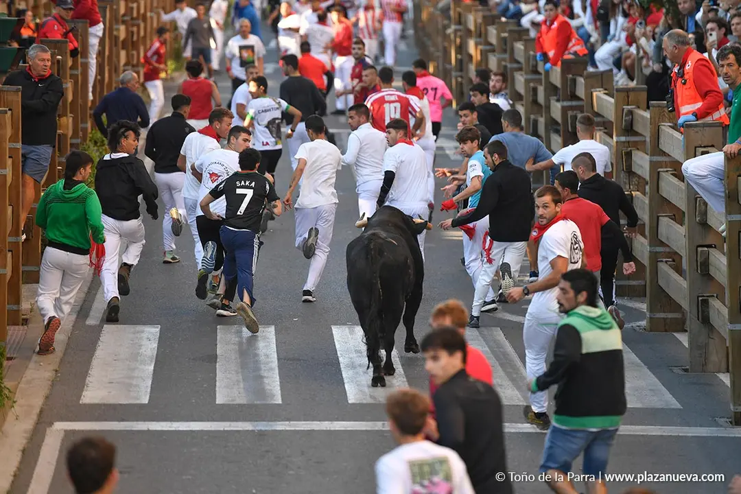 Encierro de Tudela d&iacute;a 29 2025 24
