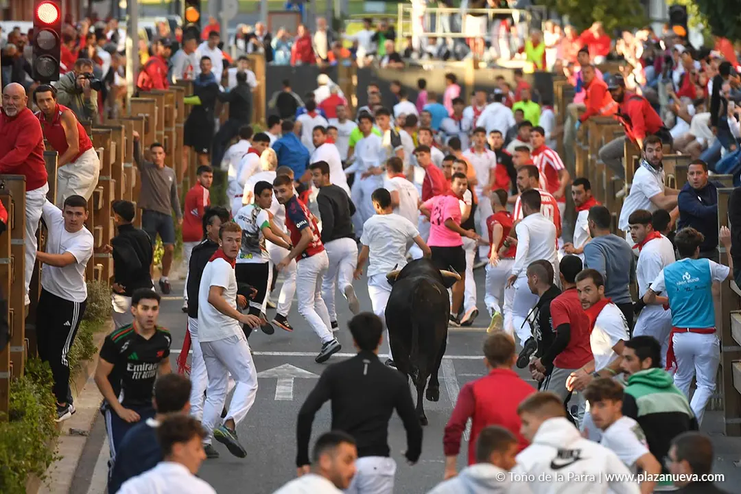 Encierro de Tudela d&iacute;a 29 2025 26