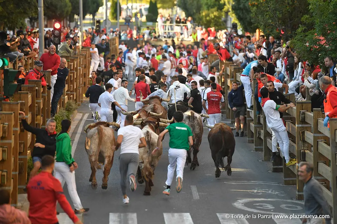 Encierro de Tudela d&iacute;a 29 2025 29