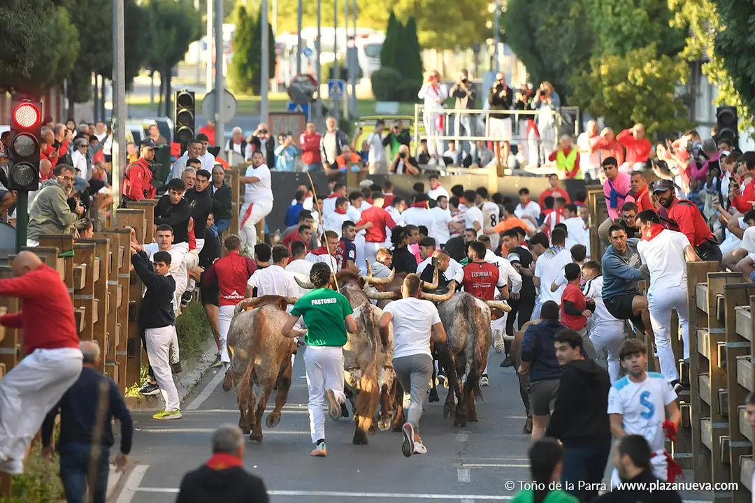 Encierro de Tudela d&iacute;a 29 2025 30