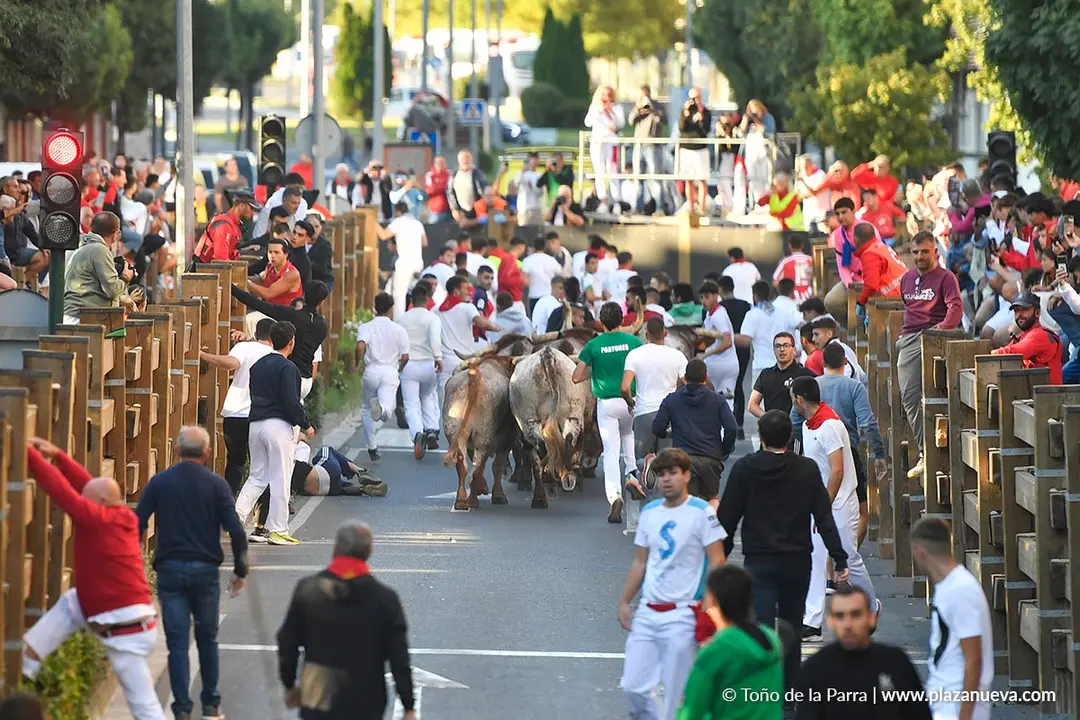 Encierro de Tudela d&iacute;a 29 2025 31