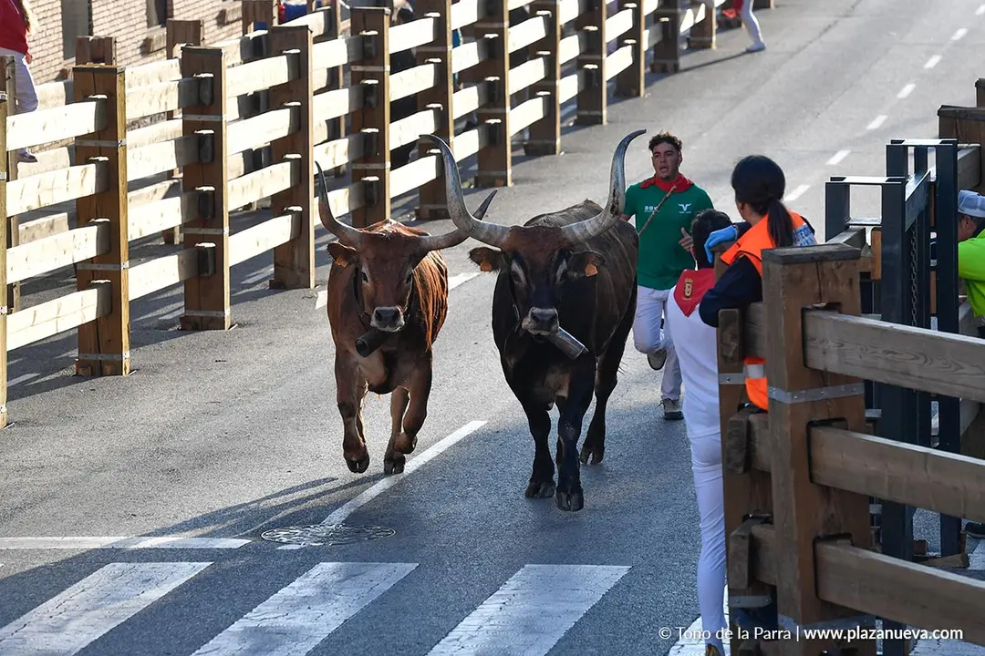 Encierro de Tudela d&iacute;a 29 2025 32