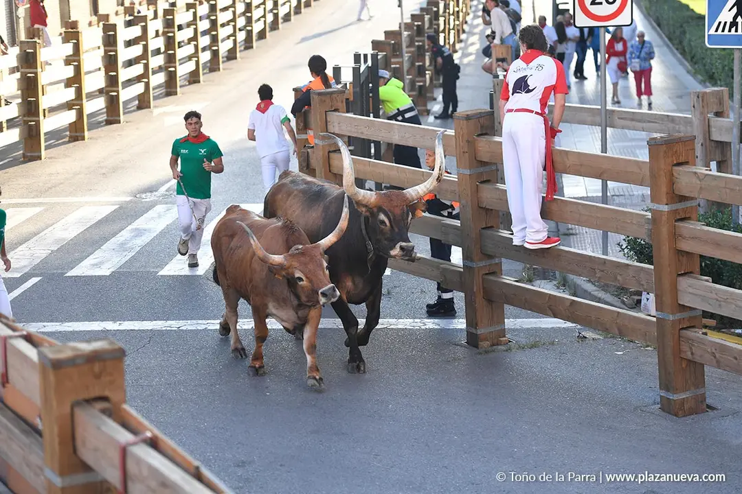 Encierro de Tudela d&iacute;a 29 2025 33
