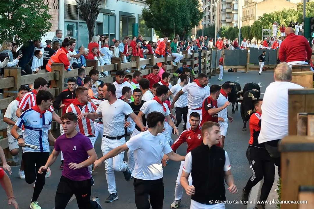 Encierro de Tudela d&iacute;a 29 2025 36