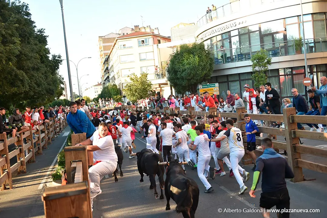 Encierro de Tudela d&iacute;a 29 2025 40