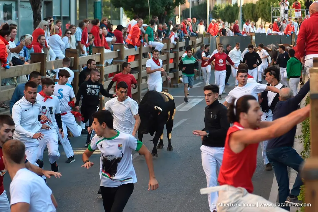 Encierro de Tudela d&iacute;a 29 2025 41