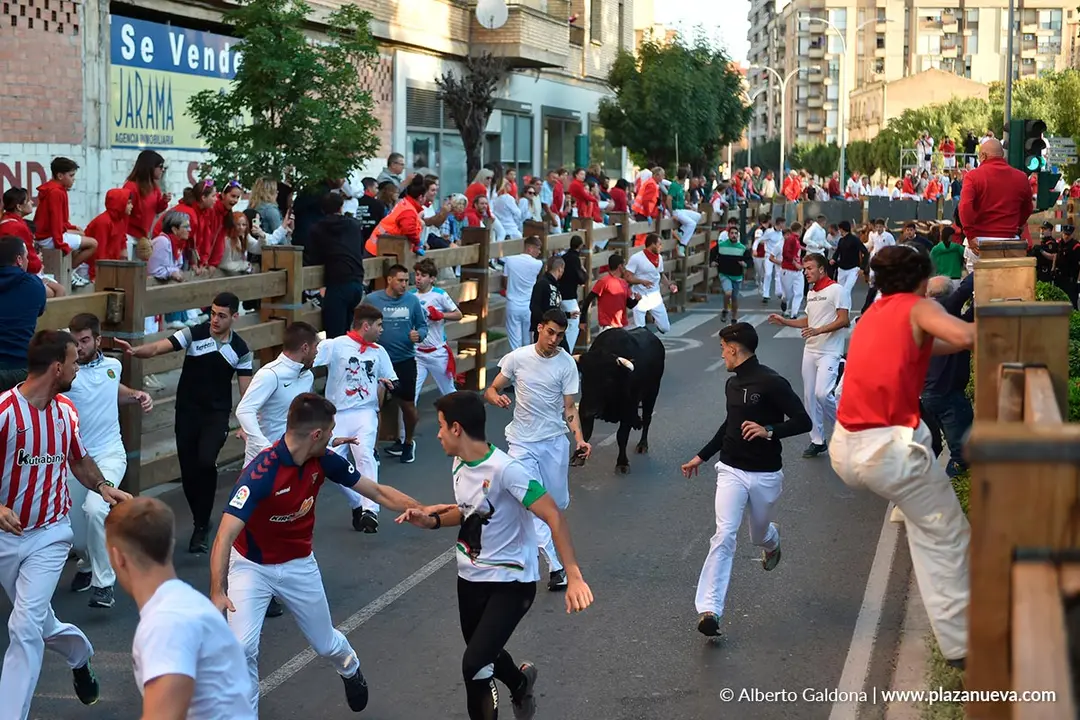 Encierro de Tudela d&iacute;a 29 2025 42