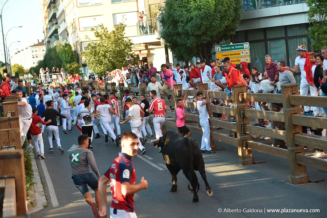 Encierro de Tudela d&iacute;a 29 2025 45