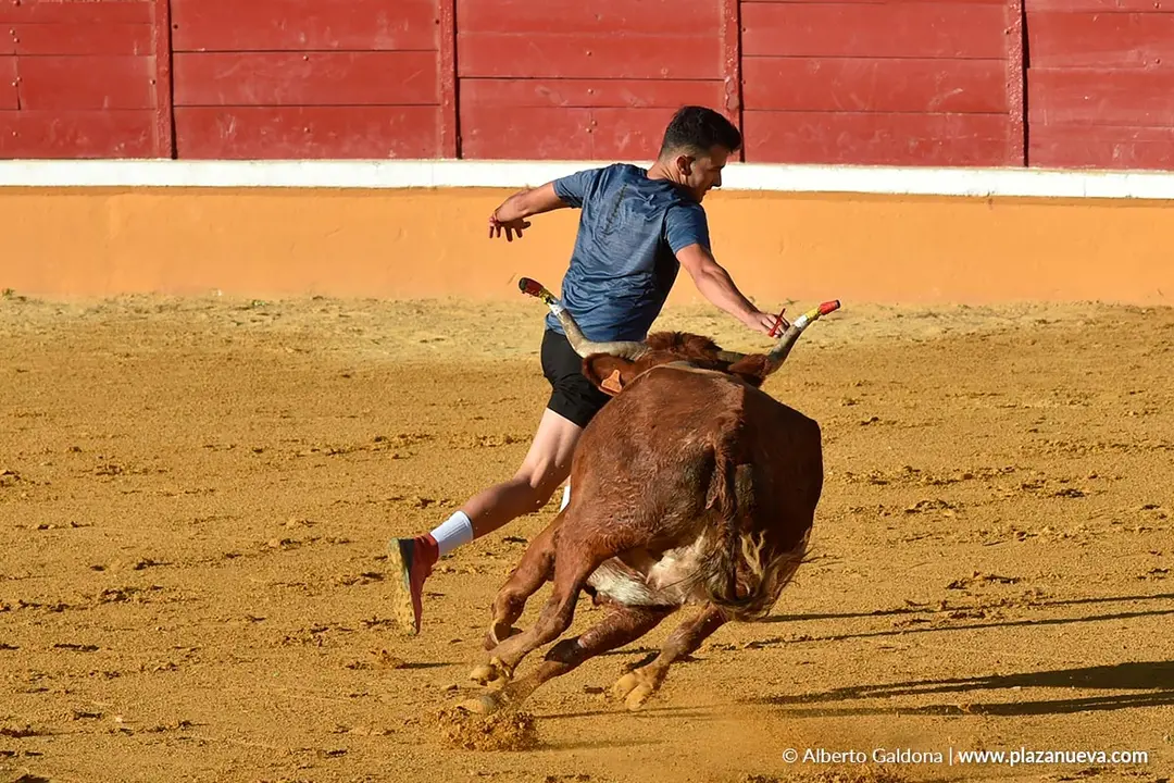 Suelta de vaquillas en Tudela d&iacute;a 29 2025 2