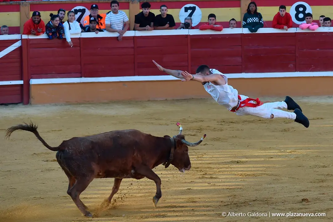 Suelta de vaquillas en Tudela d&iacute;a 29 2025 3
