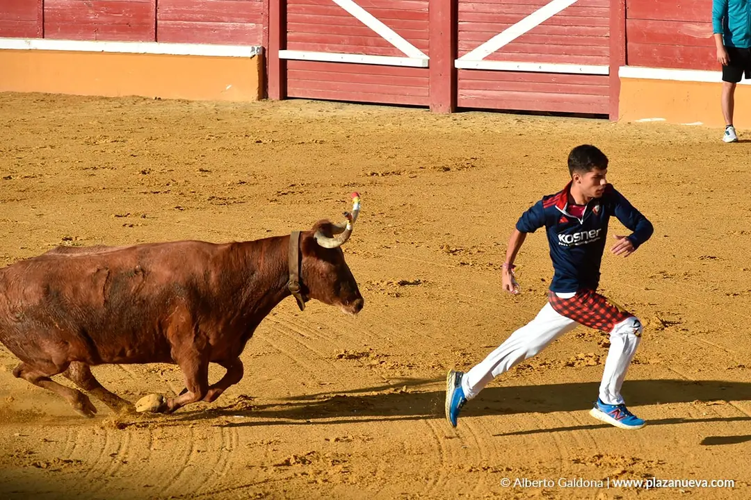 Suelta de vaquillas en Tudela d&iacute;a 29 2025 4