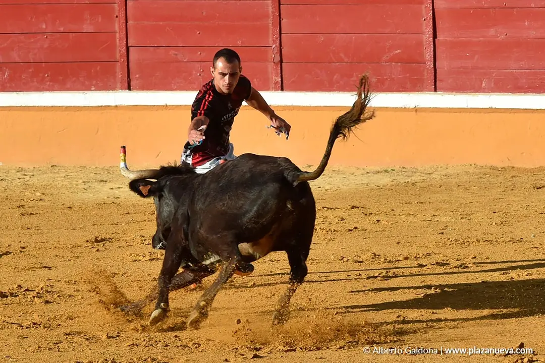 Suelta de vaquillas en Tudela d&iacute;a 29 2025 5