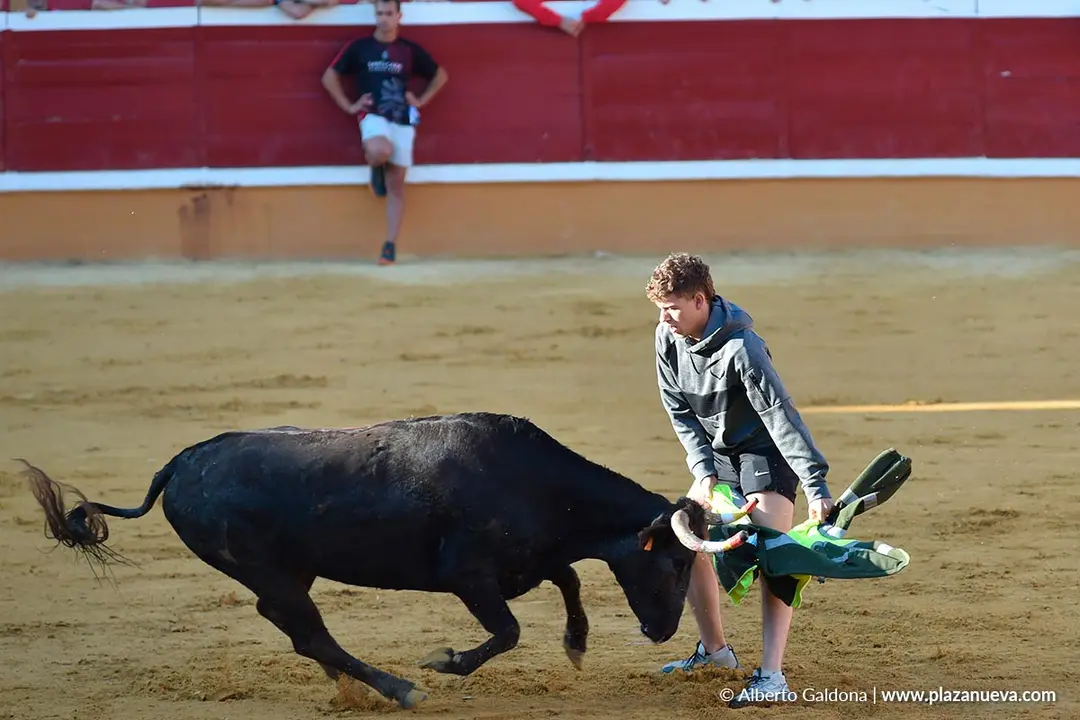 Suelta de vaquillas en Tudela d&iacute;a 29 2025 6