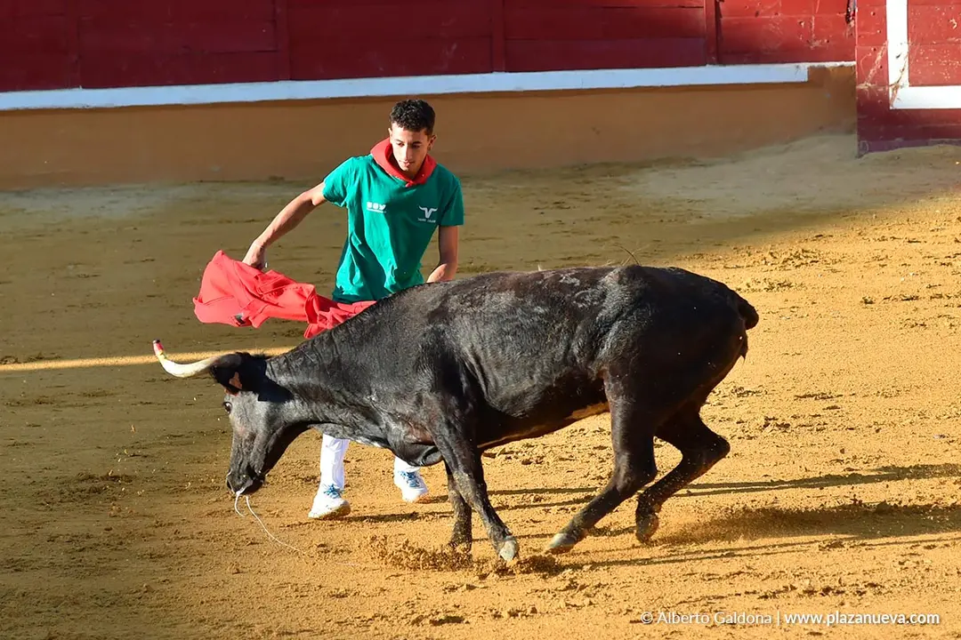Suelta de vaquillas en Tudela d&iacute;a 29 2025 7