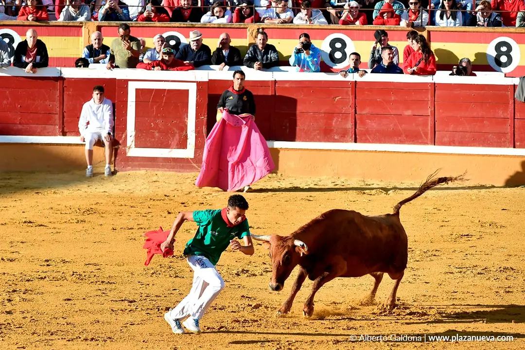 Suelta de vaquillas en Tudela d&iacute;a 29 2025 8