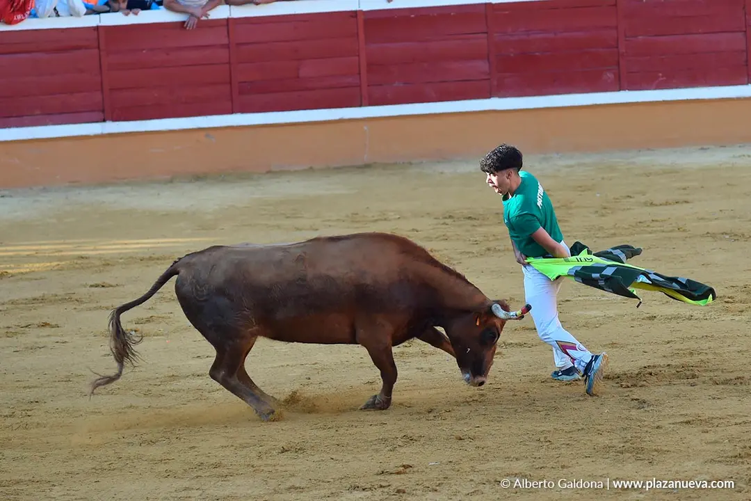 Suelta de vaquillas en Tudela d&iacute;a 29 2025 9