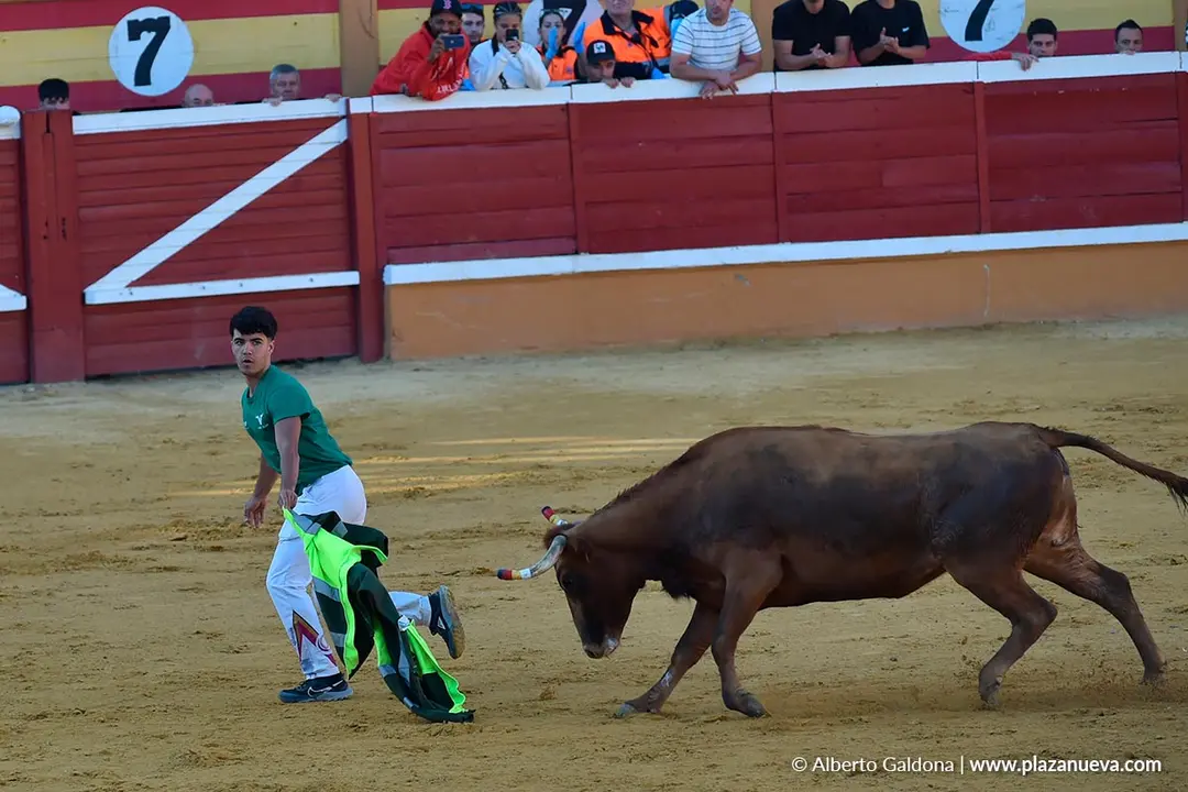 Suelta de vaquillas en Tudela d&iacute;a 29 2025 10
