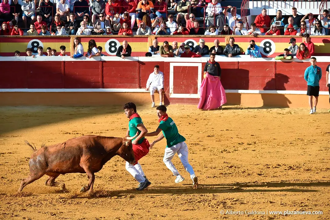 Suelta de vaquillas en Tudela d&iacute;a 29 2025 11