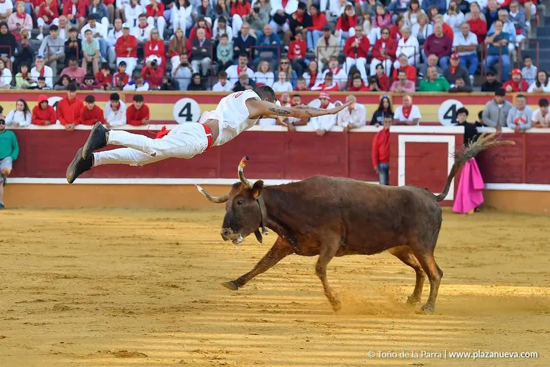 Suelta de vaquillas en Tudela d&iacute;a 29 2025 13