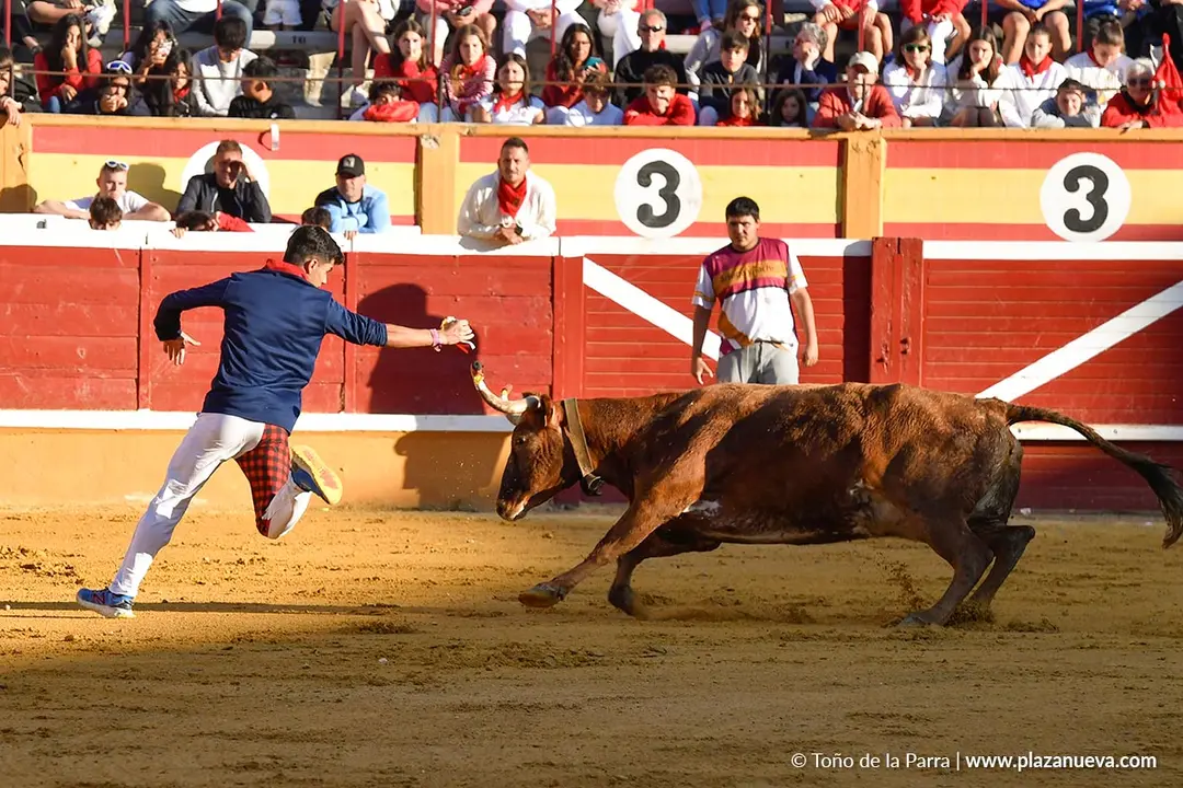 Suelta de vaquillas en Tudela d&iacute;a 29 2025 15