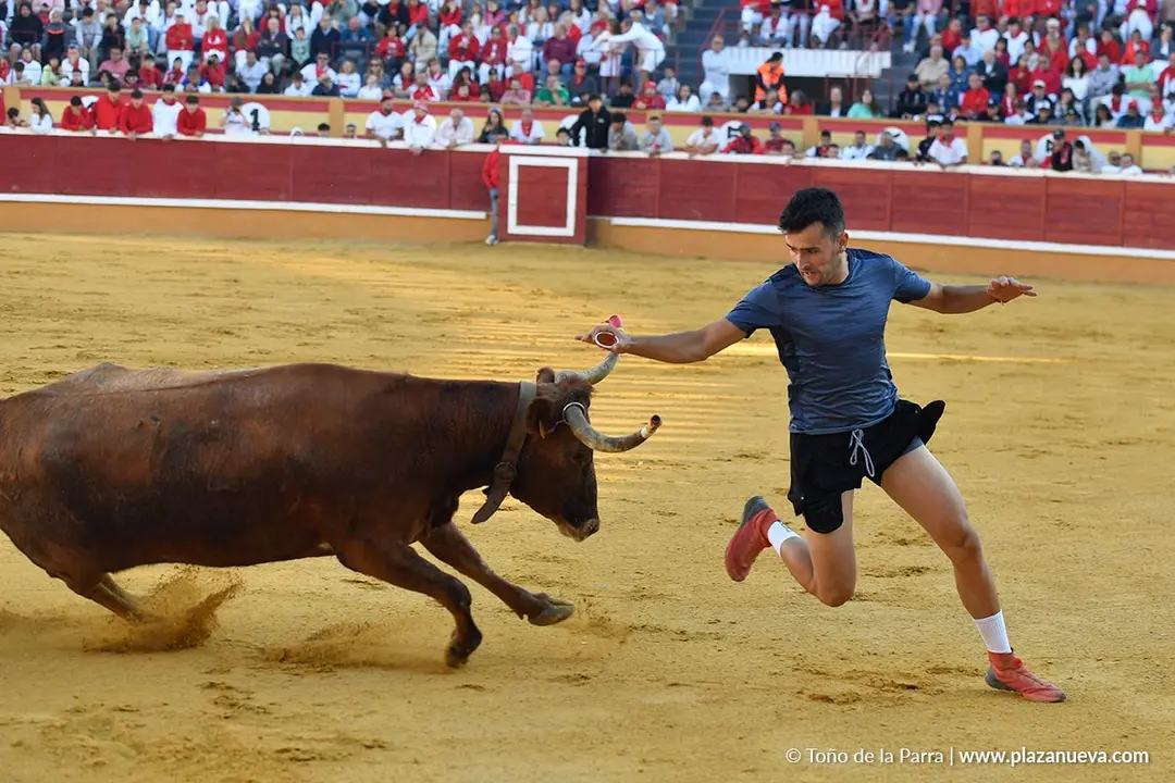 Suelta de vaquillas en Tudela d&iacute;a 29 2025 16