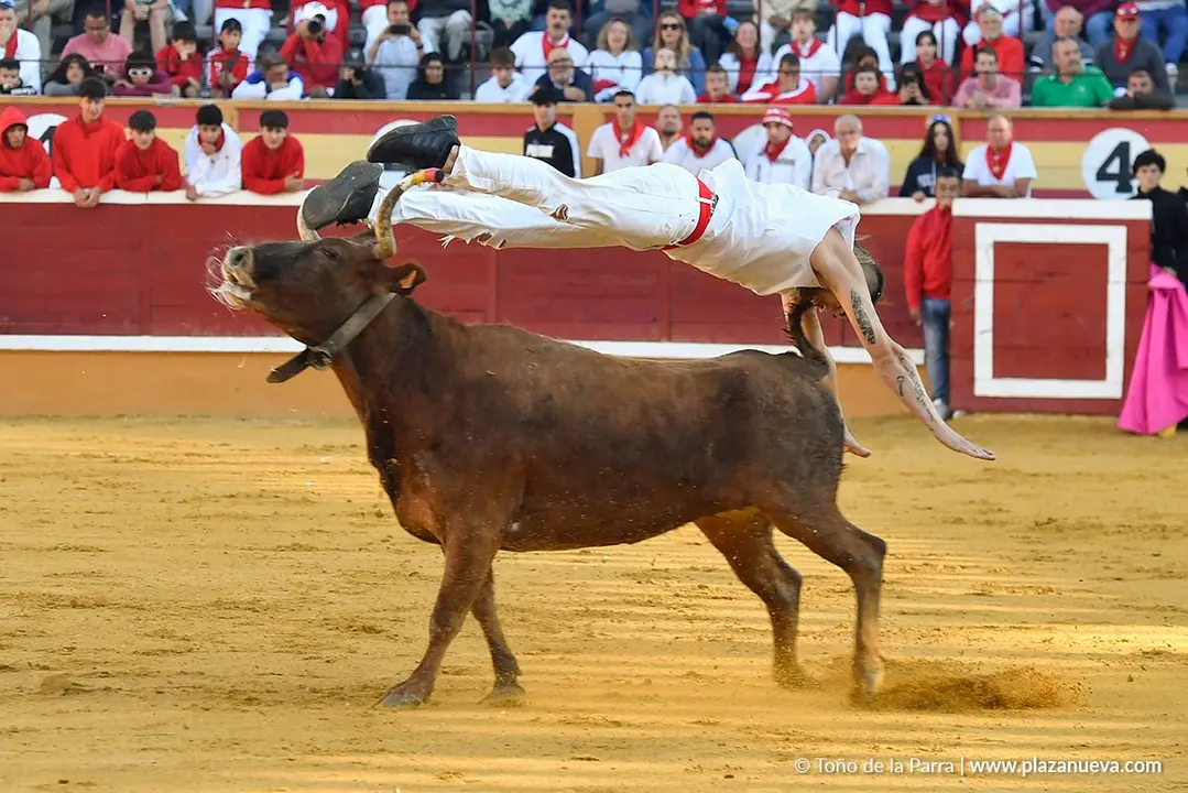 Suelta de vaquillas en Tudela d&iacute;a 29 2025 14