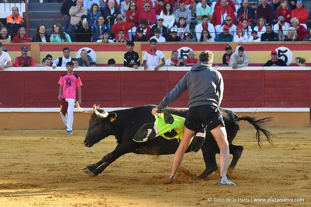 Suelta de vaquillas en Tudela d&iacute;a 29 2025 19