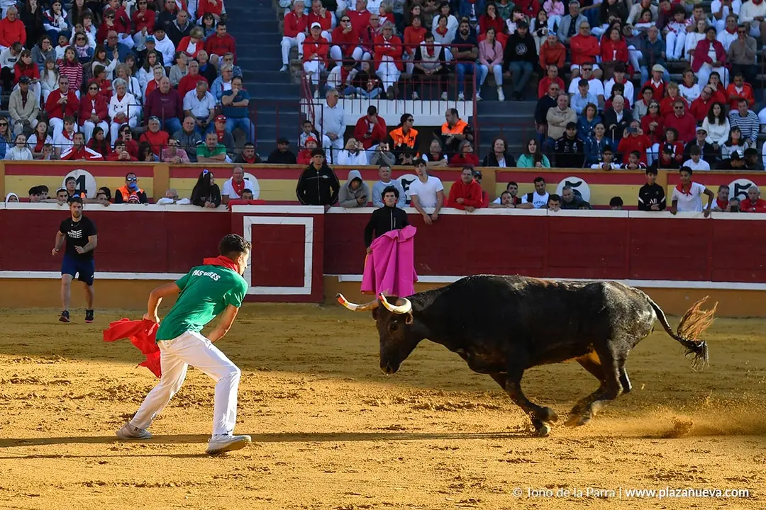 Suelta de vaquillas en Tudela d&iacute;a 29 2025 20