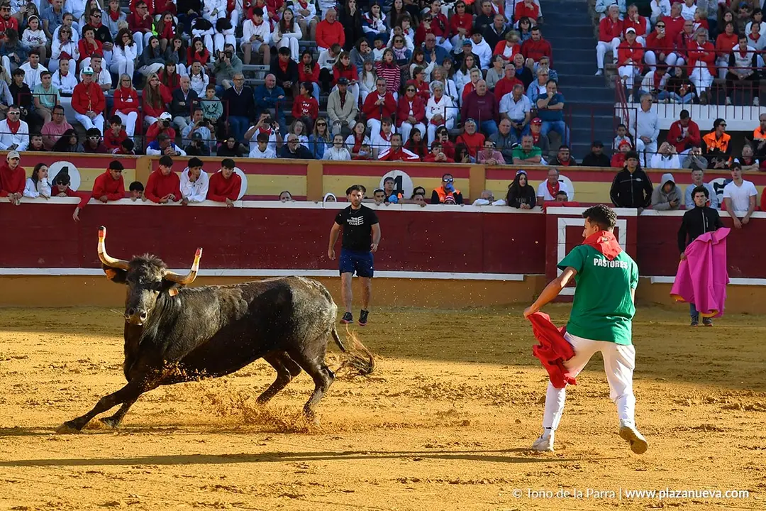 Suelta de vaquillas en Tudela d&iacute;a 29 2025 21