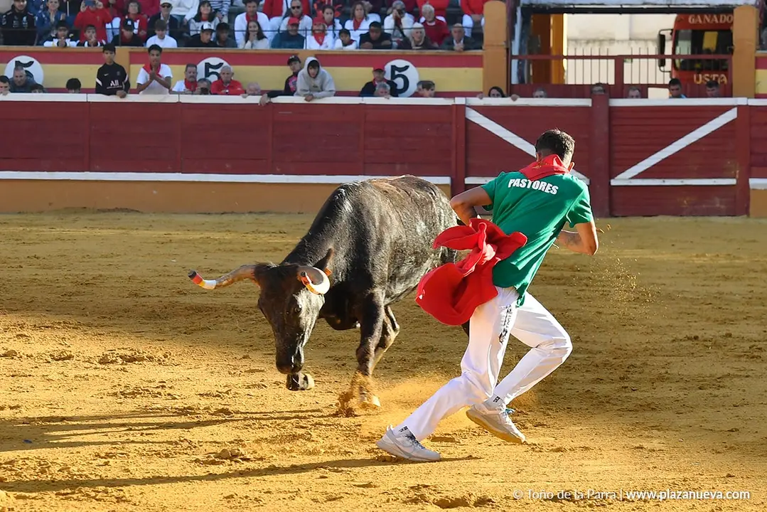Suelta de vaquillas en Tudela d&iacute;a 29 2025 22