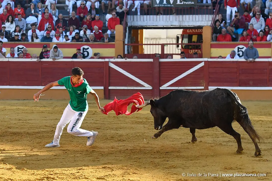 Suelta de vaquillas en Tudela d&iacute;a 29 2025 23