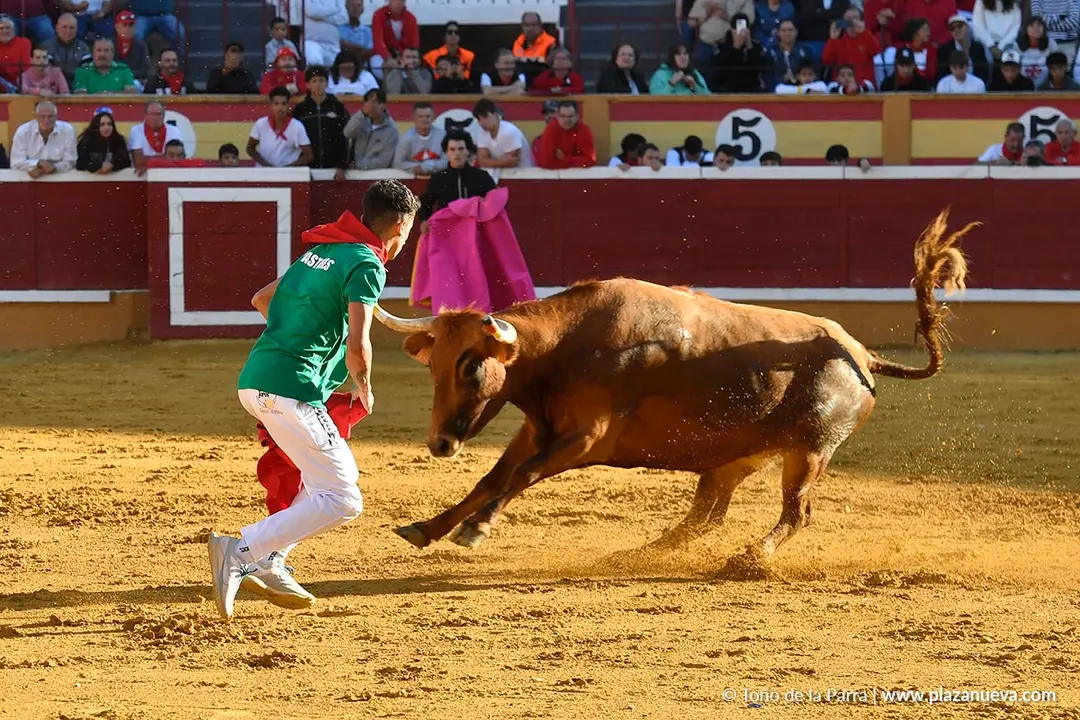 Suelta de vaquillas en Tudela d&iacute;a 29 2025 25