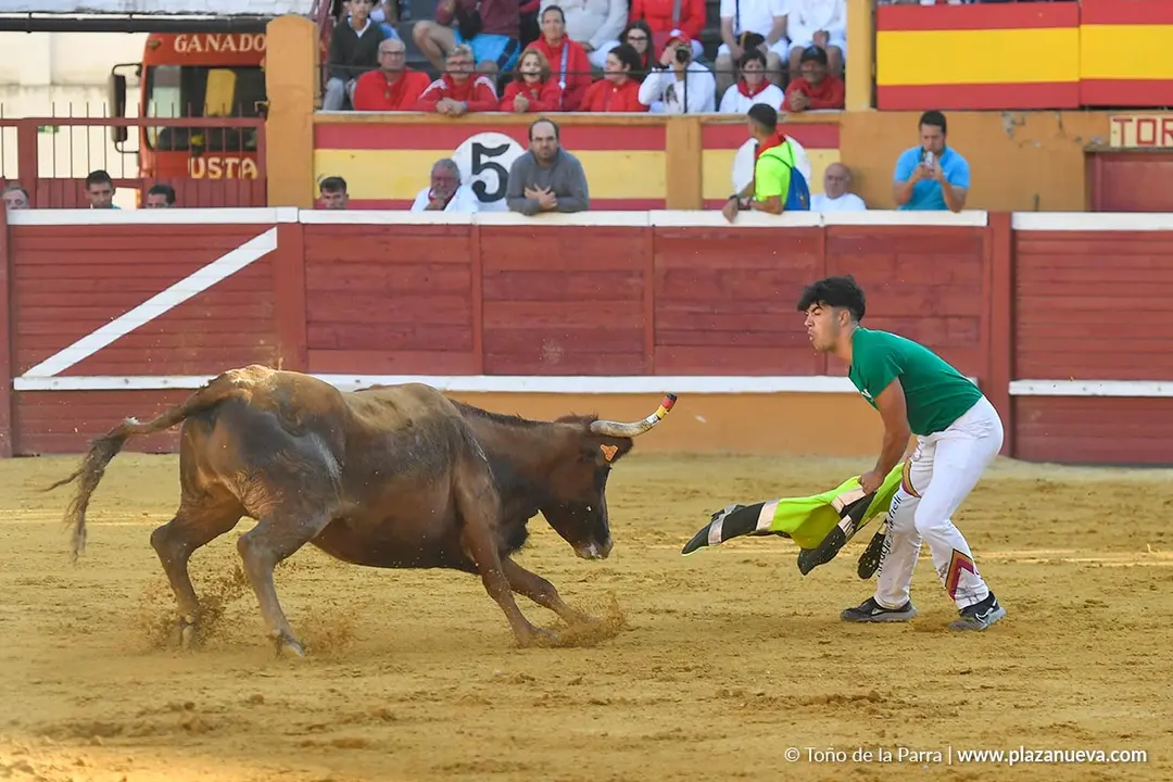 Suelta de vaquillas en Tudela d&iacute;a 29 2025 26
