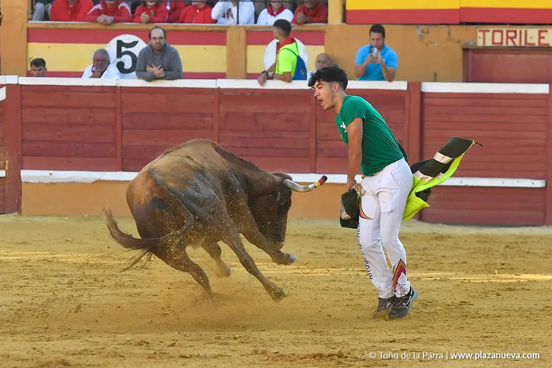 Suelta de vaquillas en Tudela d&iacute;a 29 2025 27