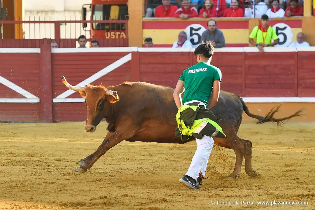 Suelta de vaquillas en Tudela d&iacute;a 29 2025 28